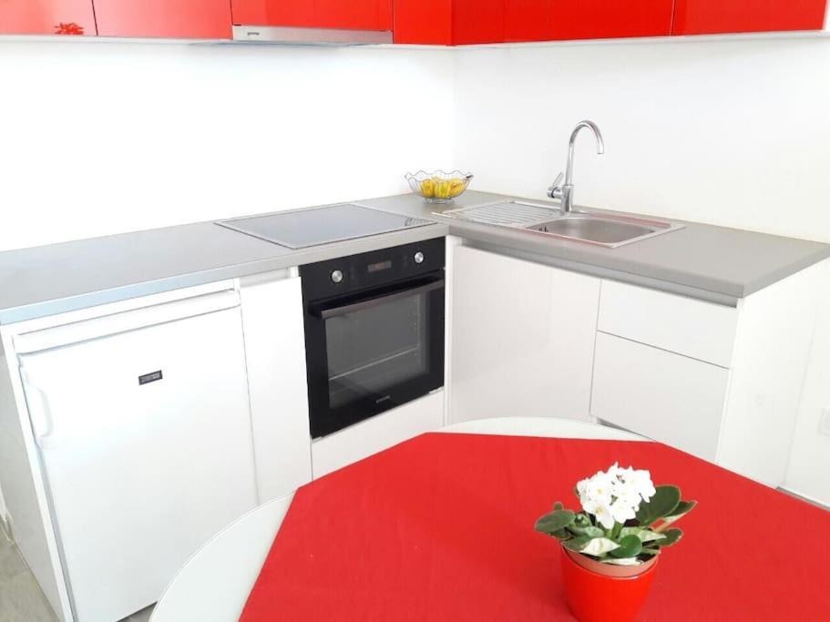 Studio Apartment Ivana - New Sweet Apartment Dubrownik Zewnętrze zdjęcie