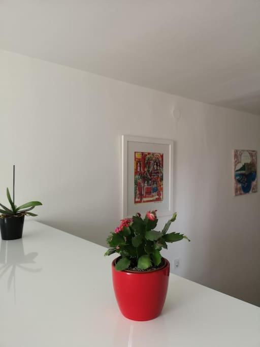 Studio Apartment Ivana - New Sweet Apartment Dubrownik Zewnętrze zdjęcie
